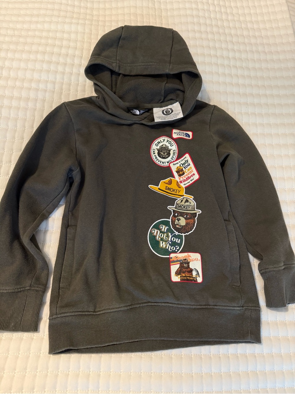 The North Face Kids Charcoal Smokey Bear Hoodie Size 6